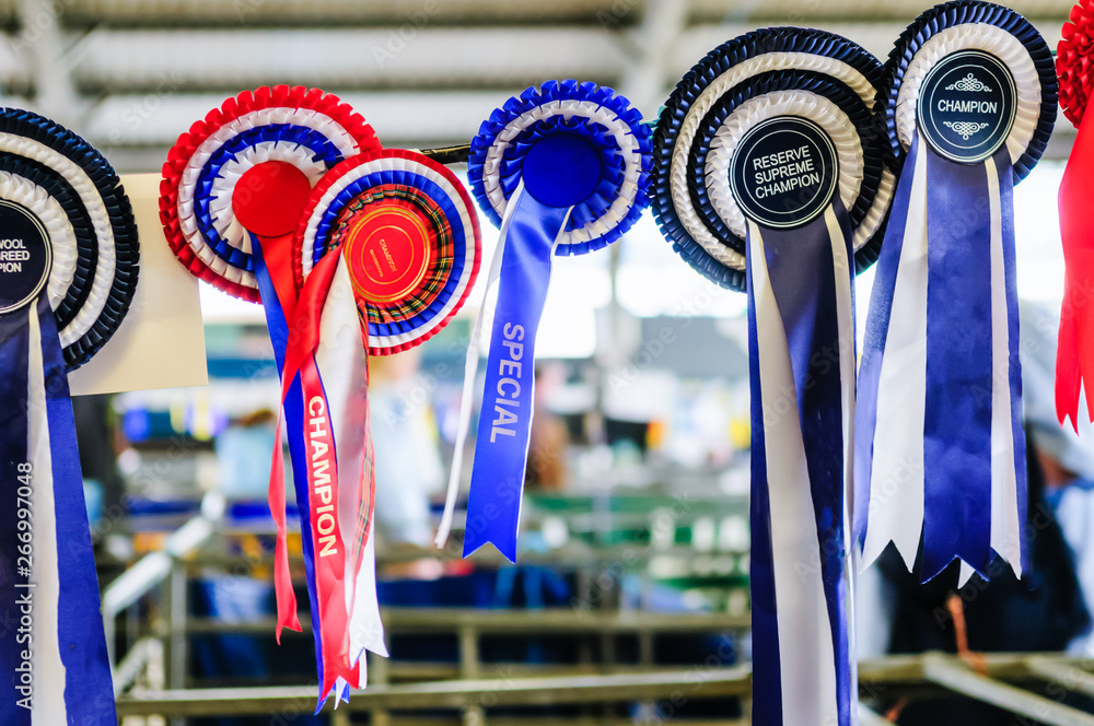 Rosettes hanging above the pen of a champion sheep.