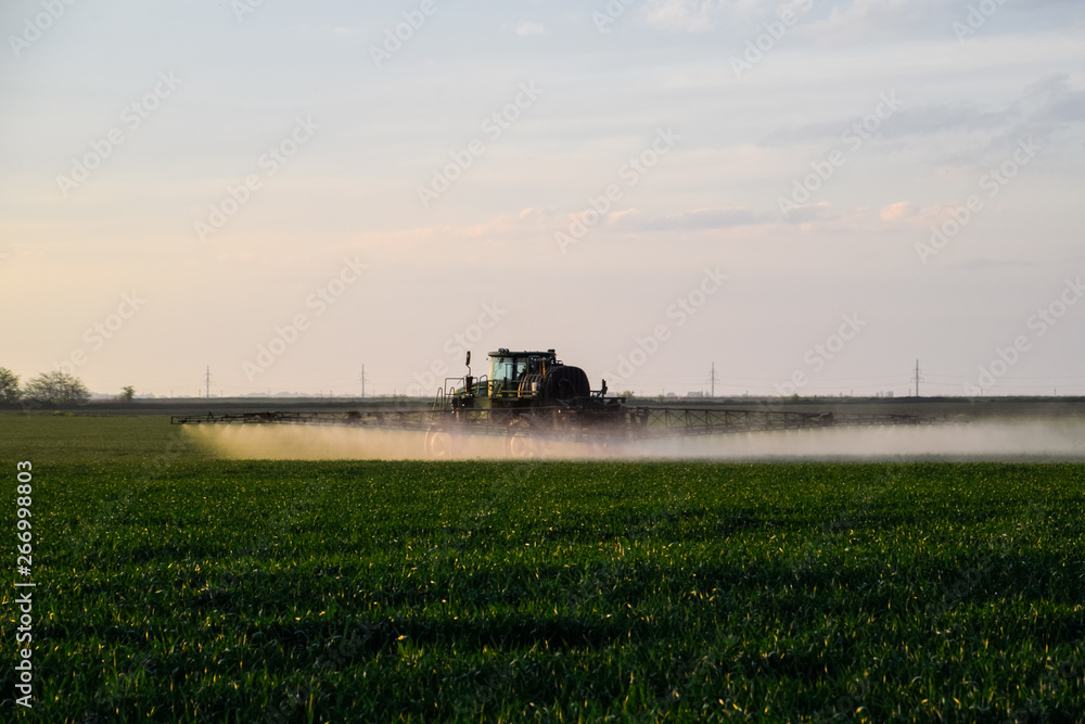 Naklejka premium tractor with the help of a sprayer sprays liquid fertilizers on young wheat in the field.