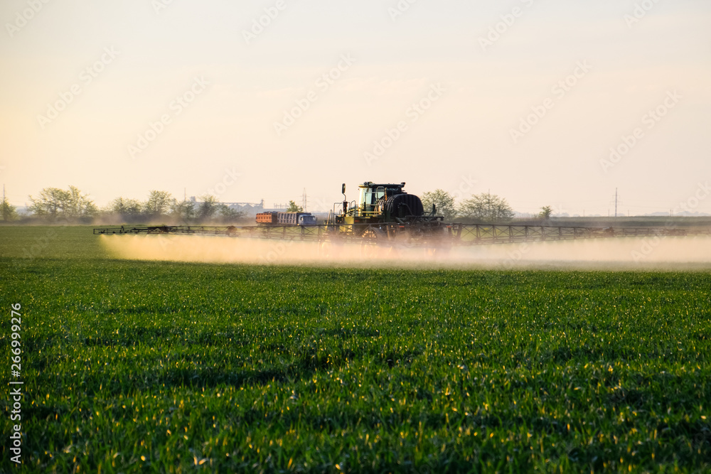 tractor with the help of a sprayer sprays liquid fertilizers on young wheat in the field. tractor with the help of a sprayer sprays liquid fertilizers on young wheat in the field.