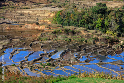 Honghe Yuanyang  Samaba Rice Terrace Fields - Baohua township  Yunnan Province China. Sama Dam Multi-Color Terraces - grass  mud construction layered terraces filled with water  blue sky reflection
