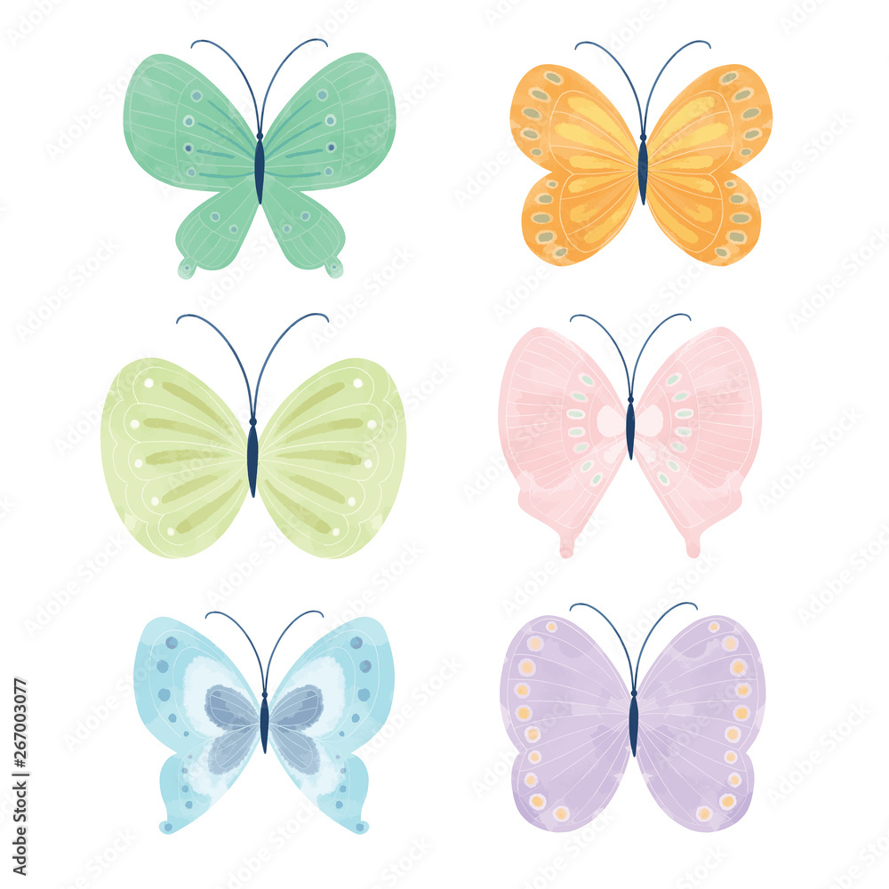cute pastel color butterfly set cute pastel color butterfly set