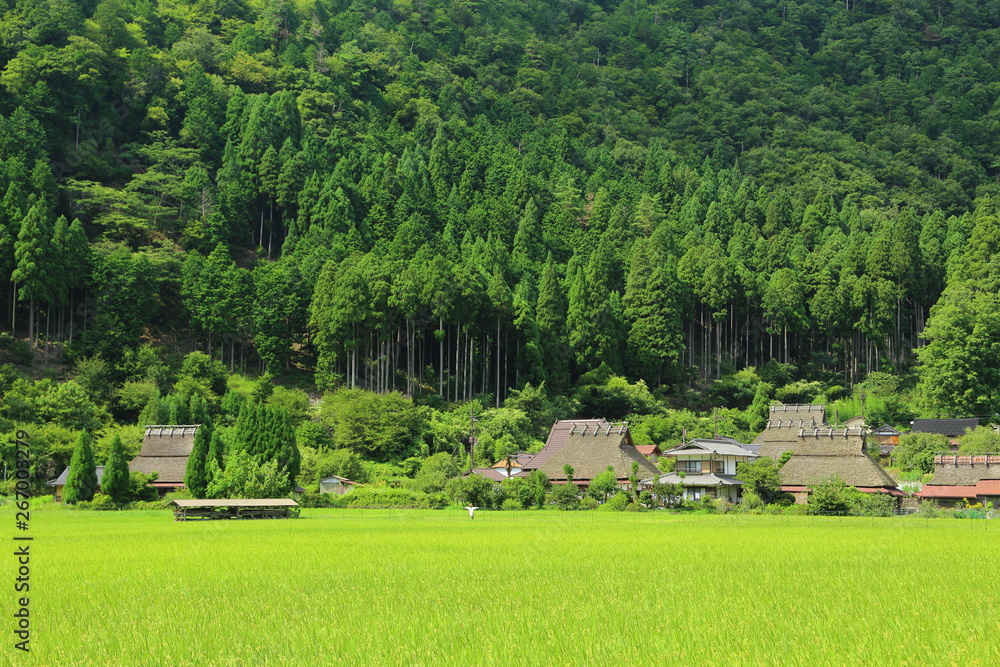 京都・田舎の風景, 美山, 農村, 日本