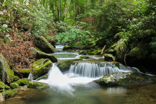 Fototapeta Naklejka Na Ścianę i Meble -  Little River Trail Tributary - Great Smoky Mountains National Park - Tennessee