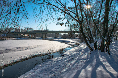 river tree