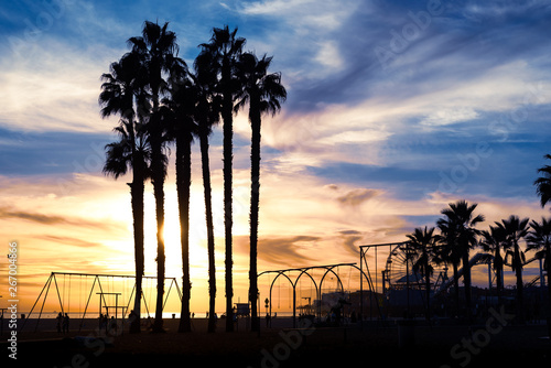 Beautiful sunset through the palm trees. Santa Monica beach, California, USA