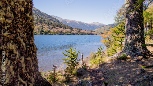 Lago huesquefilo, Araucanía, Chile 