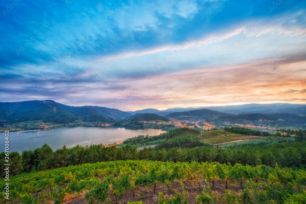 viewpoint from a vineyard with a beautiful landscape at sunset, where you can see mountains and a lake