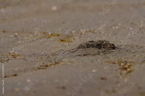 Mini crab hole on beach