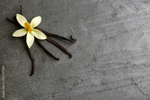 Flat lay composition with vanilla sticks and flower on grey background. Space for text