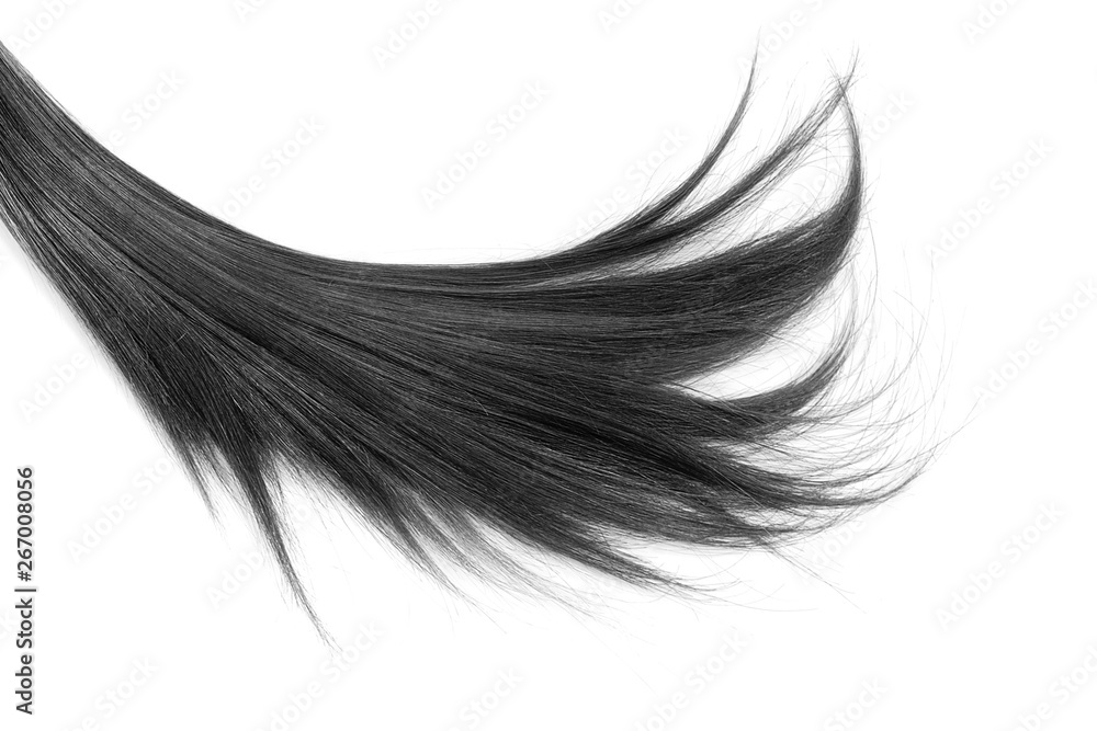 Long black hair isolated on white background. Healthy hair tips Stock Photo  | Adobe Stock