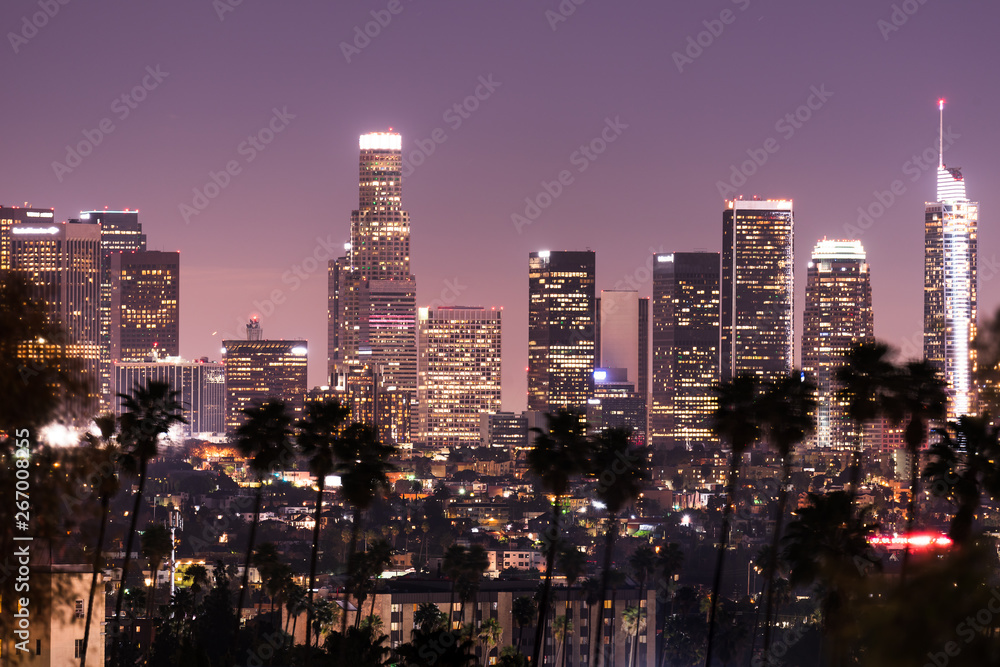 Fototapeta premium Downtown Los Angeles skyline at night