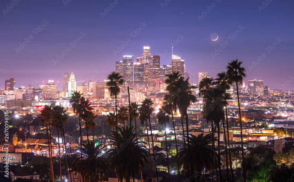 Beautiful night of Los Angeles downtown and palm trees in foreground