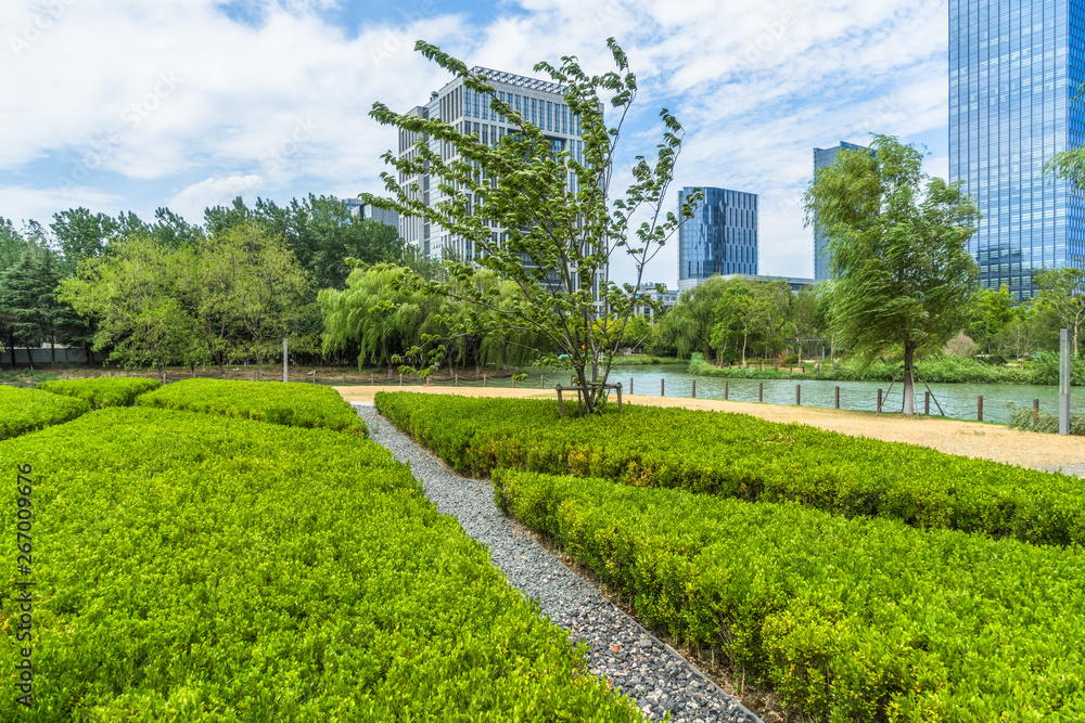 Fototapeta beautiful green field near modern office building.