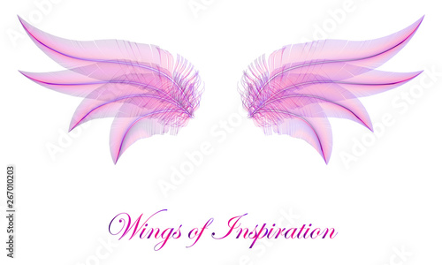 Pink Fairy Wings - Fairytale Faerie Wings of Dreams - Concept Vector Element on White