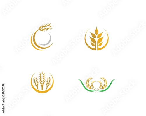 Fototapeta Naklejka Na Ścianę i Meble -  Wheat vector icon illustration design