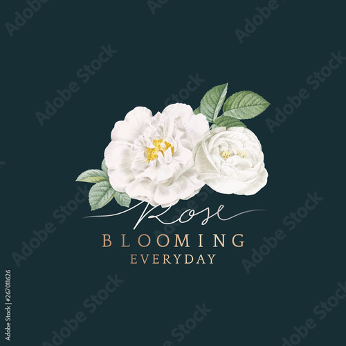 White rose blooming card design