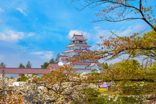 Aizu-Wakamatsu Castle with cherry blossom in Japan photo