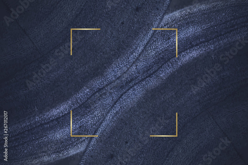 Fluid design backdrop frame