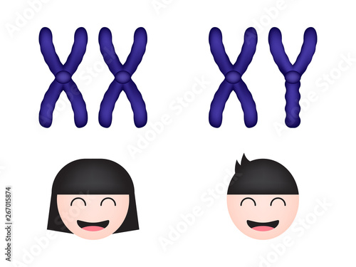 Sex chromosome of women and men  vector ESP10