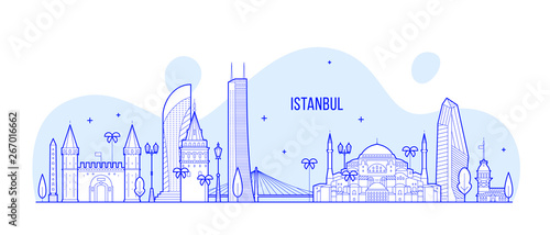 Istanbul skyline Turkey city buildings vector line