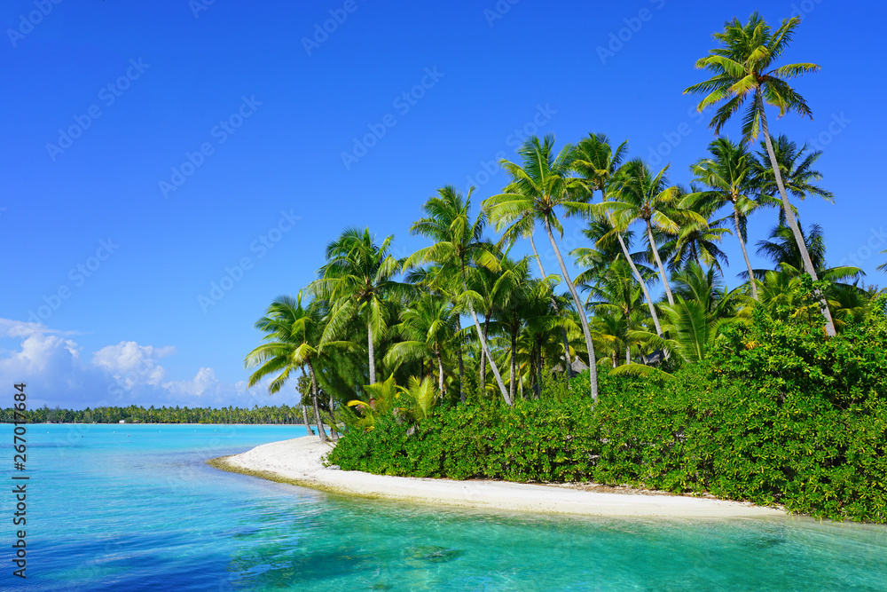 View of a tropical landscape with palm trees, white sand and the turquoise lagoon water in Bora Bora, French Polynesia, South Pacific View of a tropical landscape with palm trees, white sand and the turquoise lagoon water in Bora Bora, French Polynesia, South Pacific