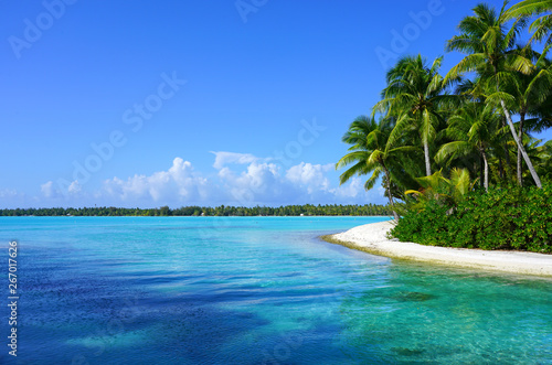 View of a tropical landscape with palm trees, white sand and the turquoise lagoon water in Bora Bora, French Polynesia, South Pacific