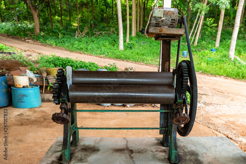 Small rubber industry on Koh Mak Is one of the people's occupations on this island