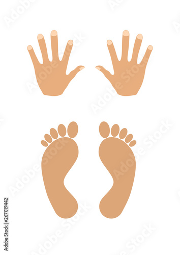 hands and feet vector illustration isolated on the white background