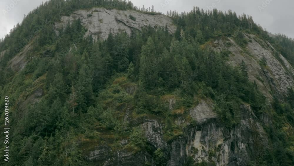 A huge rocky Alaskan mountain filmed from its base, looking upwards providing a rising perspective. The camera slides displaying a rocky surface with some vegetation. A huge rocky Alaskan mountain filmed from its base, looking upwards providing a rising perspective. The camera slides displaying a rocky surface with some vegetation.