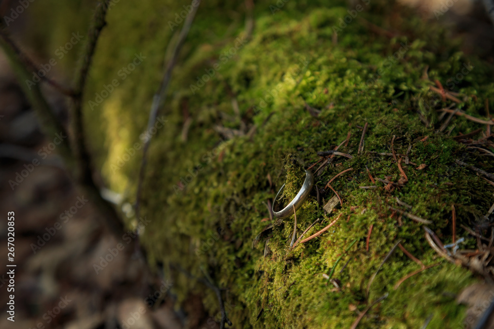 Lost gold ring in the moss