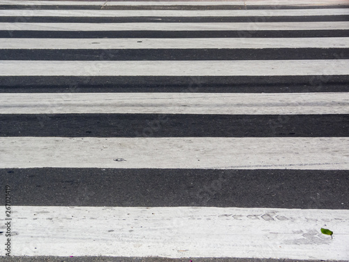 Pattern of a zebra crossing, grungy, wethered, with leaf detail of color