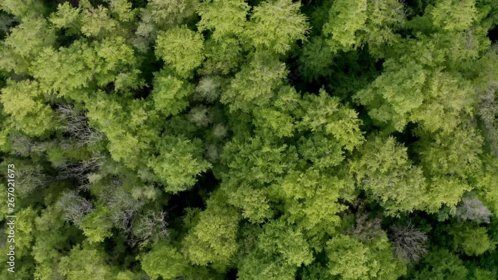 aerial view of valley Nassachtal in the Swabian forest in Baden Württemberg, Germany aerial view of valley Nassachtal in the Swabian forest in Baden Württemberg, Germany