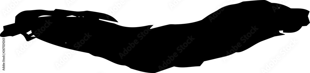 Black Winding line drawn with a brush Black Winding line drawn with a brush