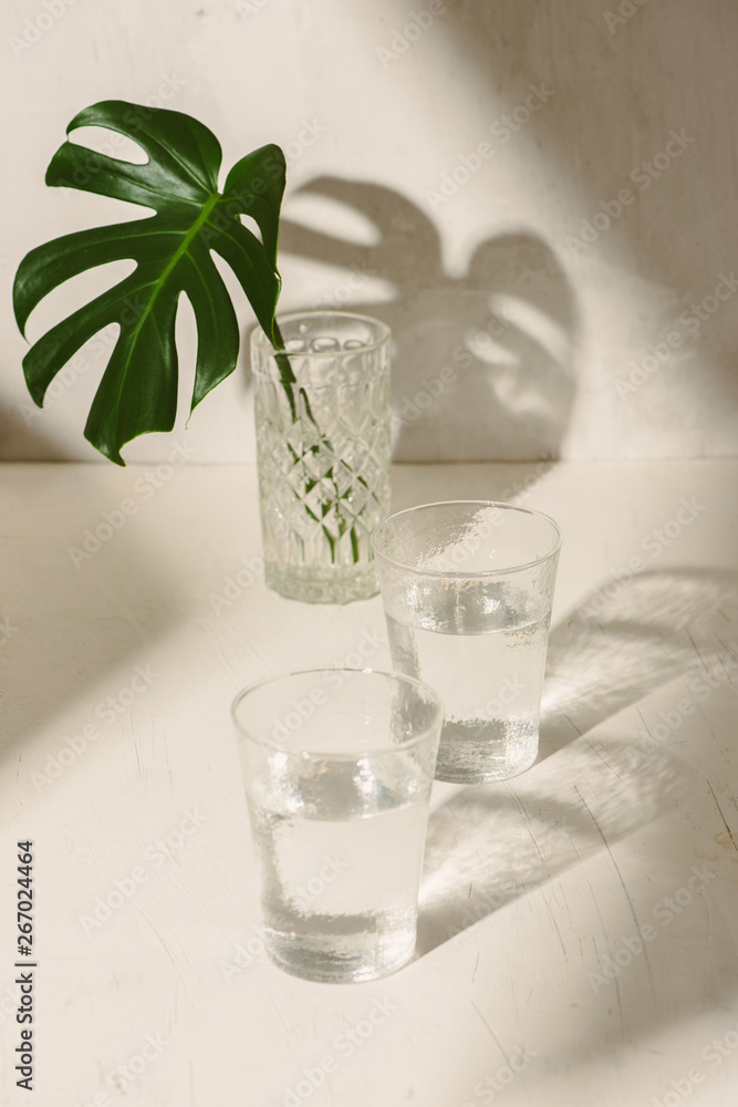 Leaf in a glass of water on a white table Leaf in a glass of water on a white table
