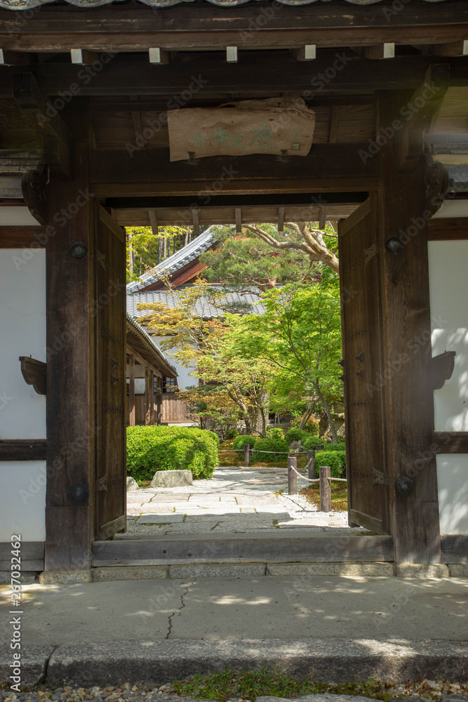 Fresh green of Kyoto Enkou-ji