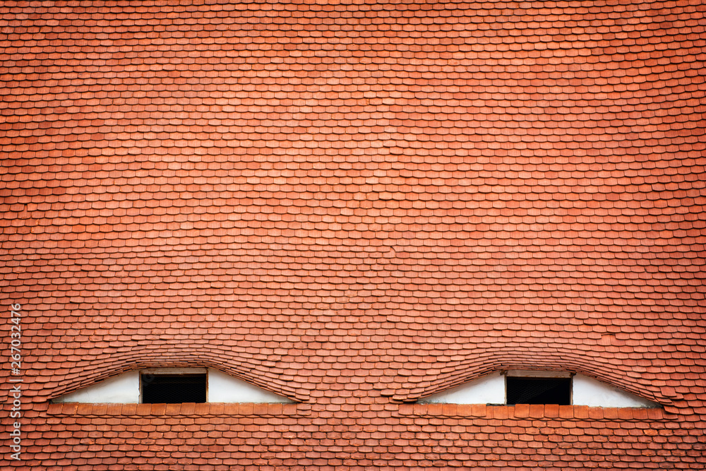 Fototapeta premium Windows looks like eyes - famous architectural detail in Sibiu, Romania