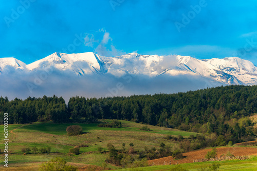 Foto Snowy Pirin mountain in front of green spring meadow, Bulgaria
