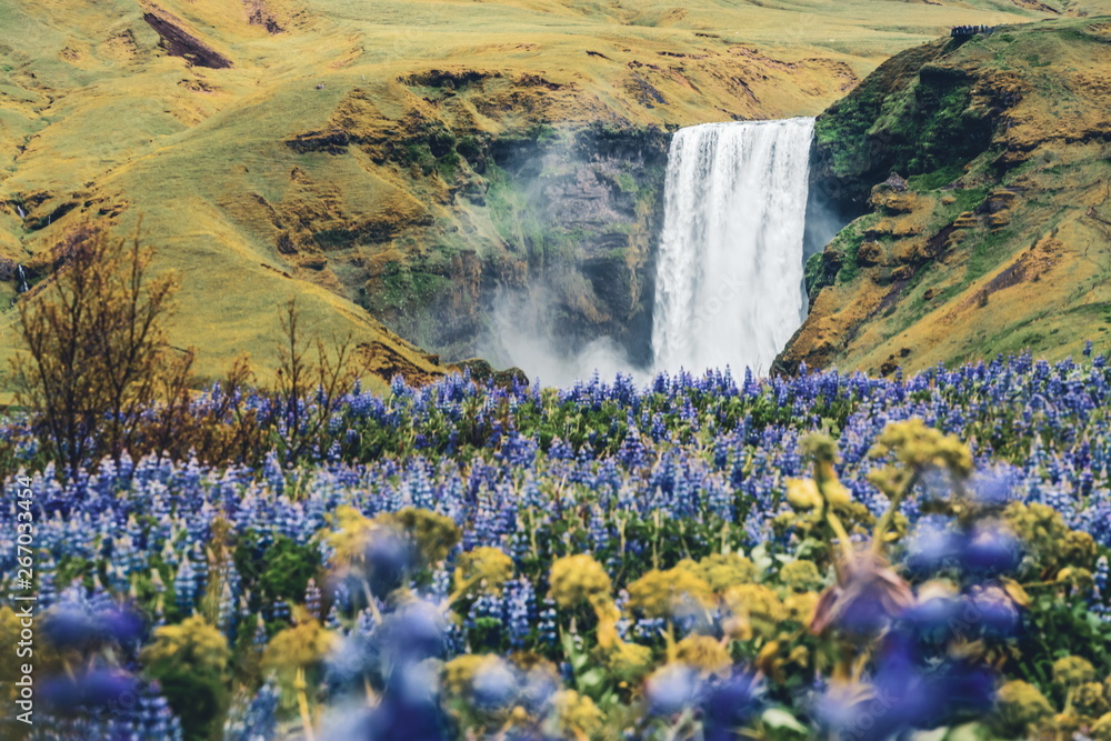 Beautiful scenery of the majestic Skogafoss Waterfall in countryside of Iceland in summer. Skogafoss waterfall is the top famous natural landmark and tourist destination place of Iceland and Europe. - obrazy, fototapety, plakaty 