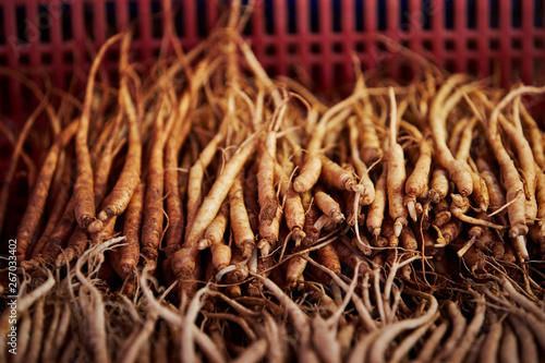 Ginseng root at Chinese herbal medicine market 