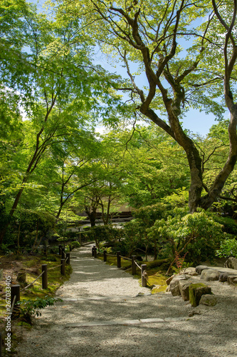  Kyoto is fresh green