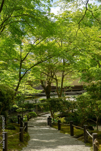  Kyoto is fresh green