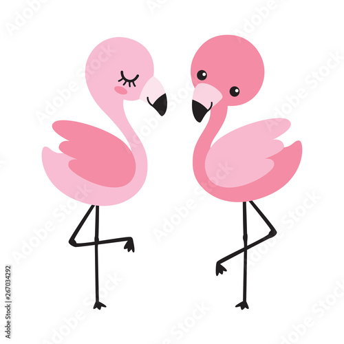 Cute baby boy and girl flamingo vector illustration. Tropical flamingo couple vector.
