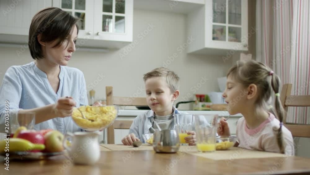 mother put cornflakes from bowl on the plate with a spoon to herself and tell her children about health food mother put cornflakes from bowl on the plate with a spoon to herself and tell her children about health food