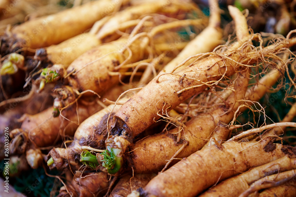 Ginseng root at Chinese herbal medicine market Ginseng root at Chinese herbal medicine market