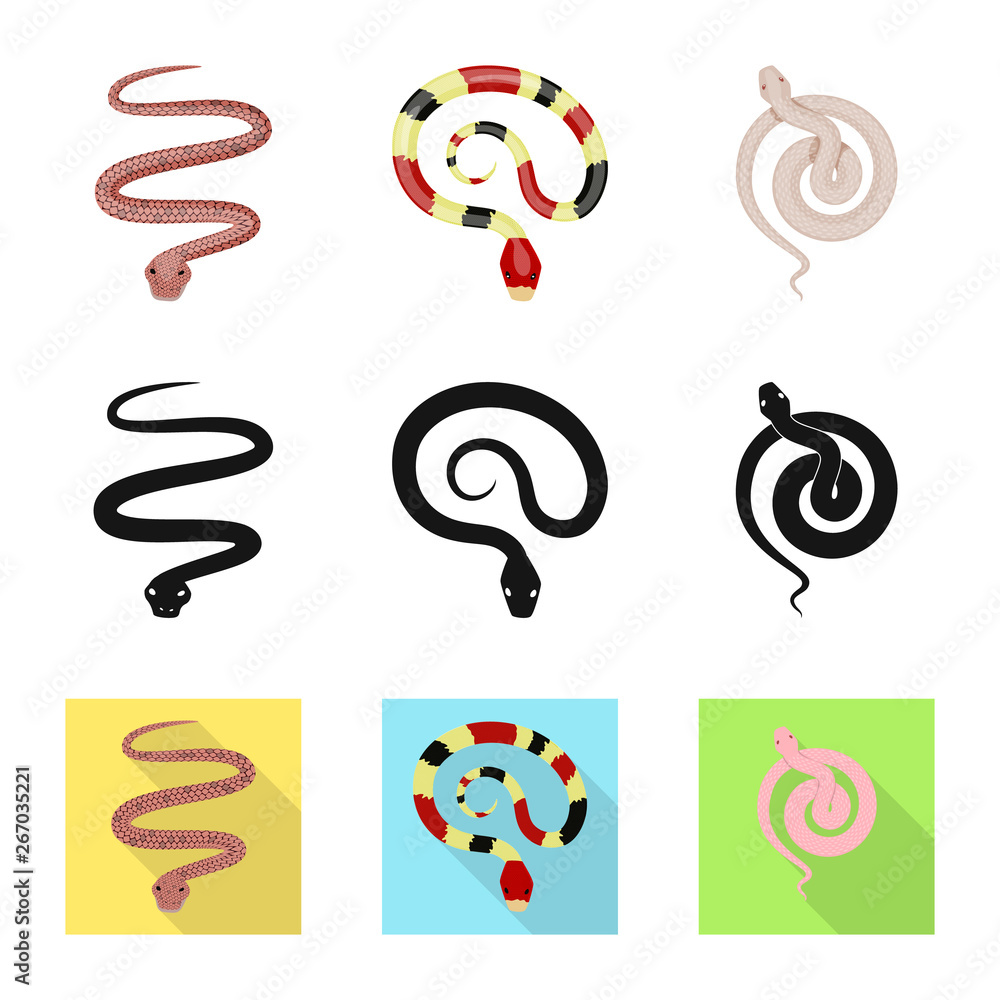 Vector design of mammal and danger logo. Set of mammal and medicine stock symbol for web.