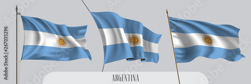 Set of Argentina waving flag on isolated background vector illustration