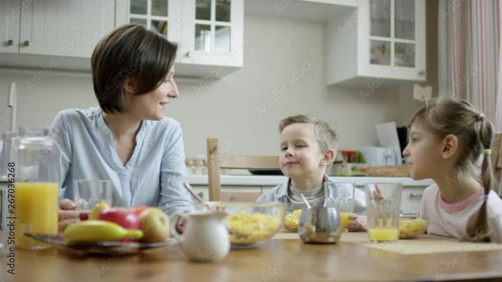 mother communicate during breakfast with her children and tell about plans for a day mother communicate during breakfast with her children and tell about plans for a day