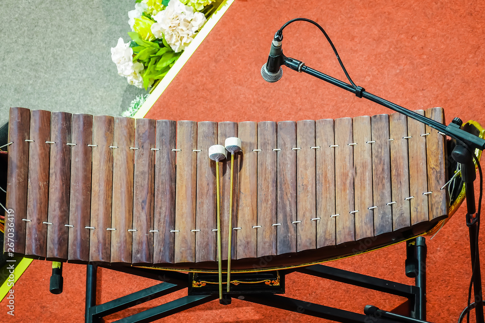 Marimba Instrument Top View