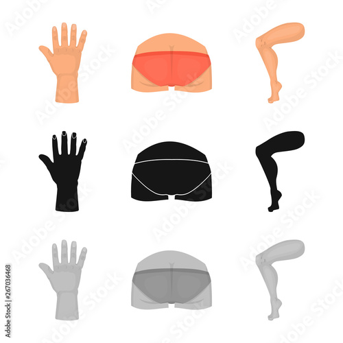 Isolated object of body and part icon. Collection of body and anatomy stock vector illustration.