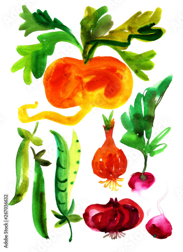 Fototapeta Naklejka Na Ścianę i Meble -  Watercolor vegetables in naive style. Botanical elements isolated on white. Hand drawn turnip, beet, pea, carrot, radish. Naive decorative illustration.